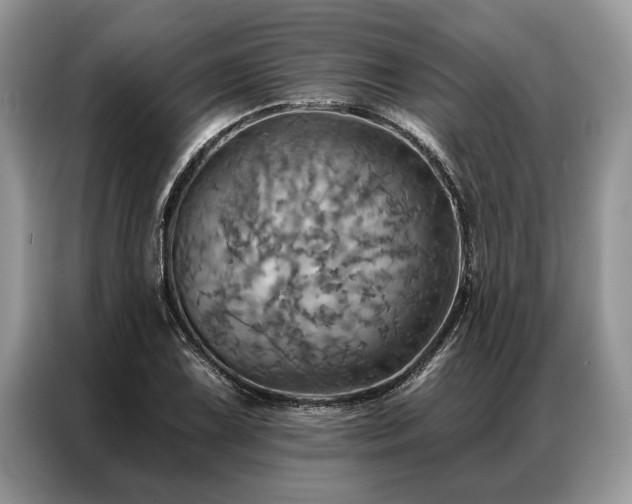 X0000087351075200704271415