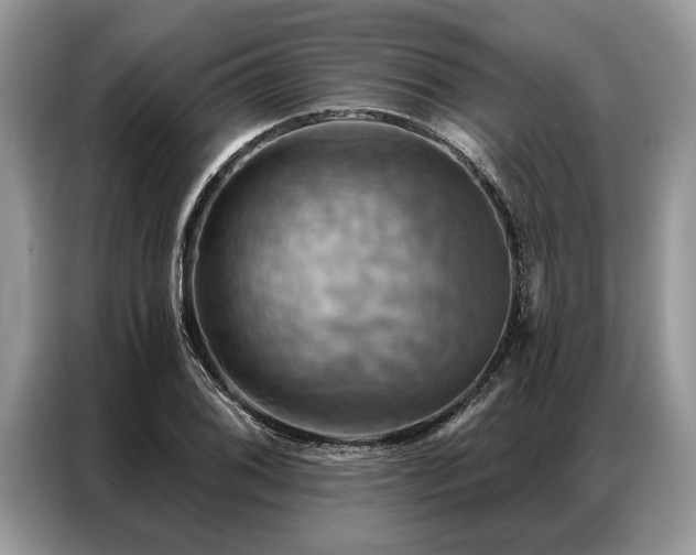 X0000087351076200704271415