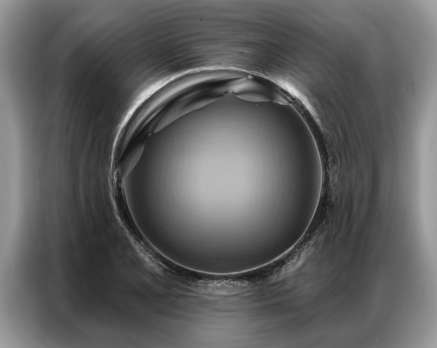 X0000087351077200704271415