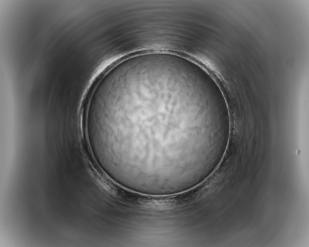 X0000087351078200704271415
