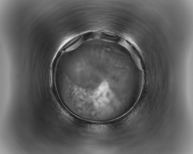 X0000087351079200704271415