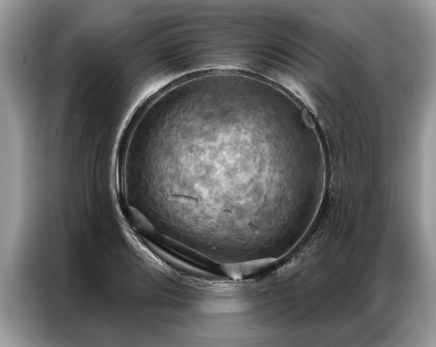 X0000087351080200704271415