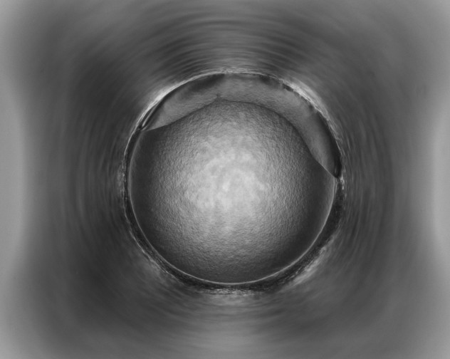 X0000087351081200704271415