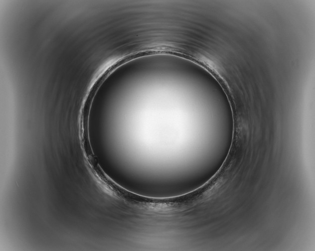 X0000087351082200704271415