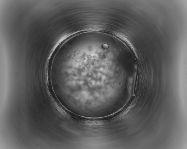 X0000087351083200704271415