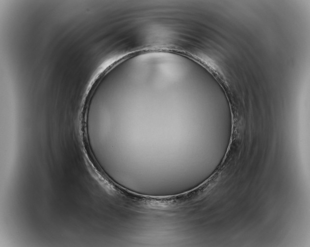 X0000087351086200704271415