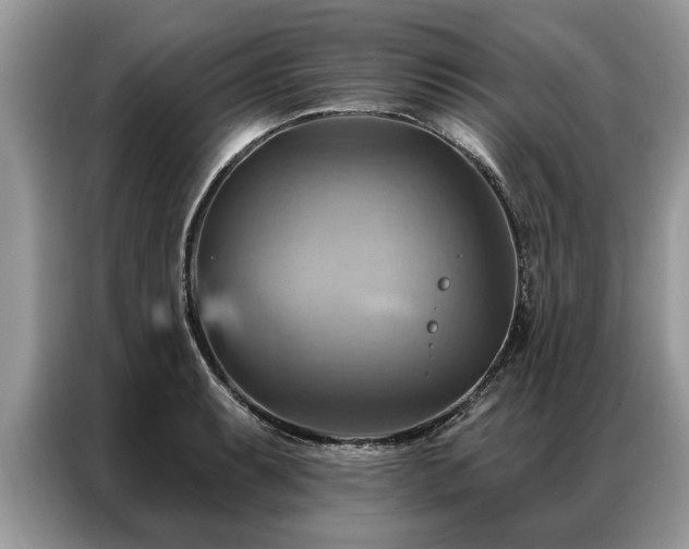 X0000087351087200704271415