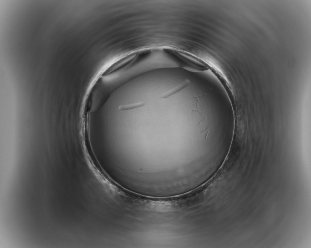 X0000087351088200704271415