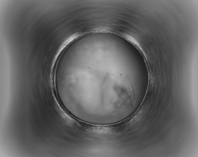 X0000087351090200704271415