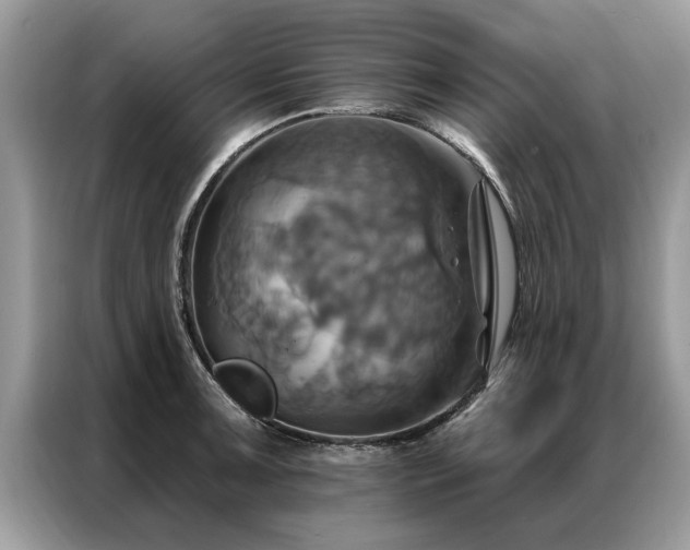 X0000087351091200704271415