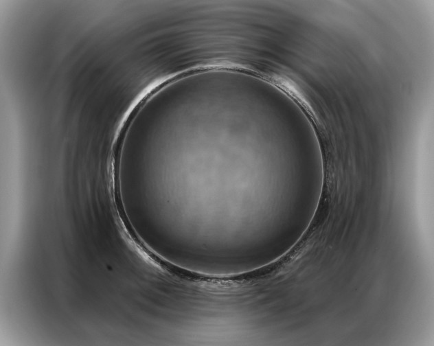 X0000087351092200704271415