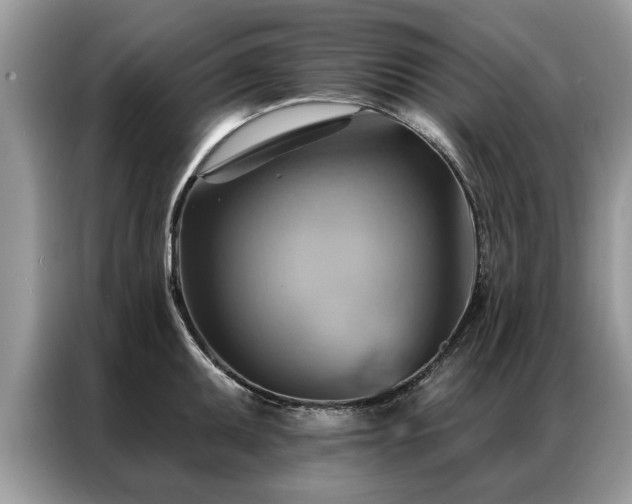 X0000087351095200704271415