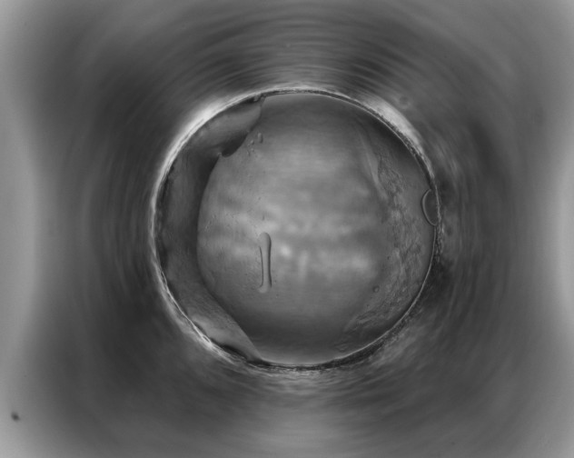 X0000087351096200704271415