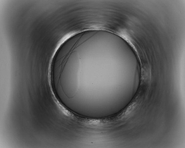 X0000087351098200704271415