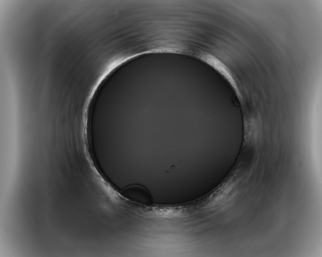 X0000087351099200704271415
