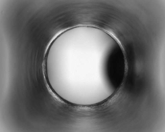 X0000087351100200704271415