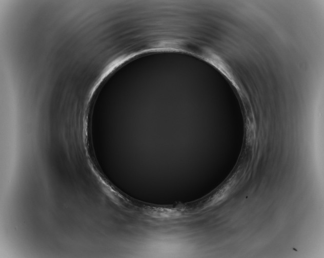 X0000087351101200704271415