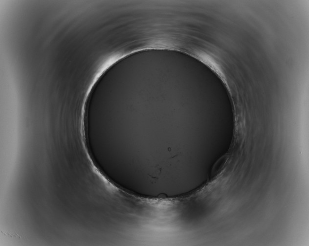 X0000087351103200704271415