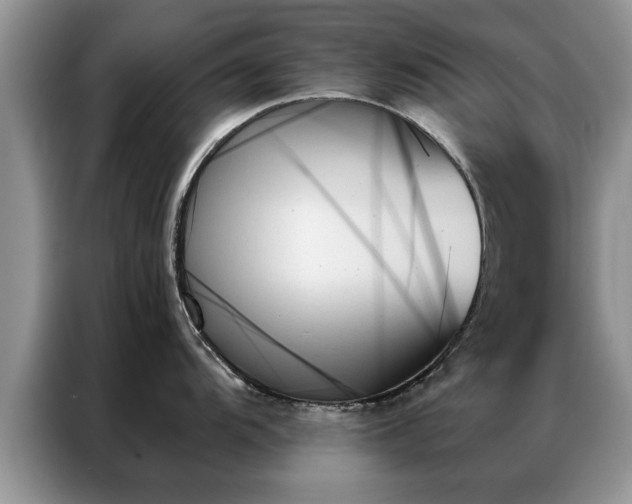 X0000087351104200704271415
