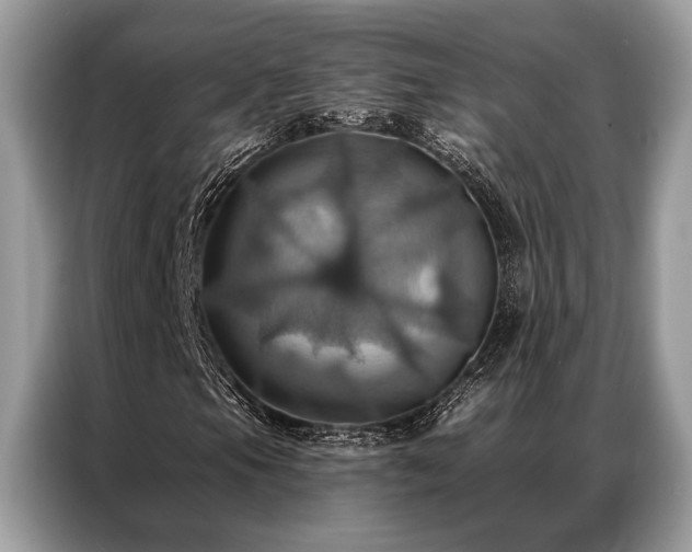 X0000087351105200704271414