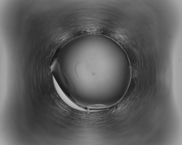 X0000087351106200704271414