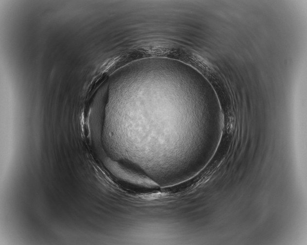 X0000087351108200704271414