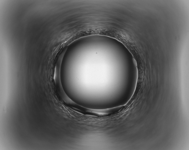 X0000087351109200704271414