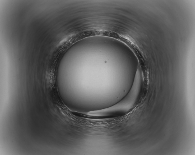 X0000087351110200704271414