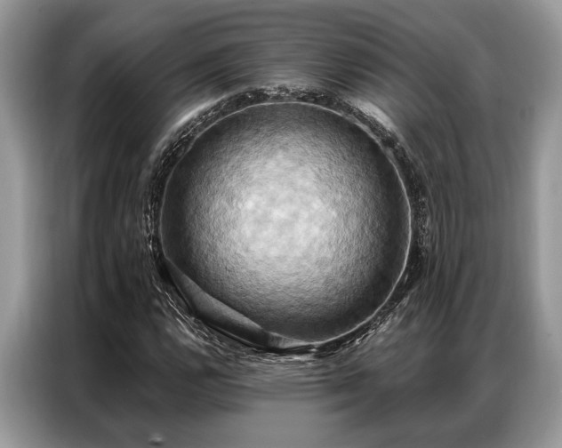 X0000087351112200704271414