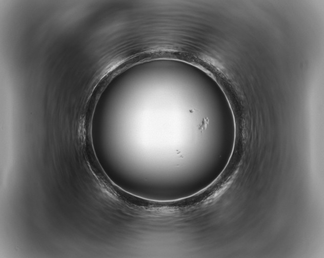 X0000087351113200704271414