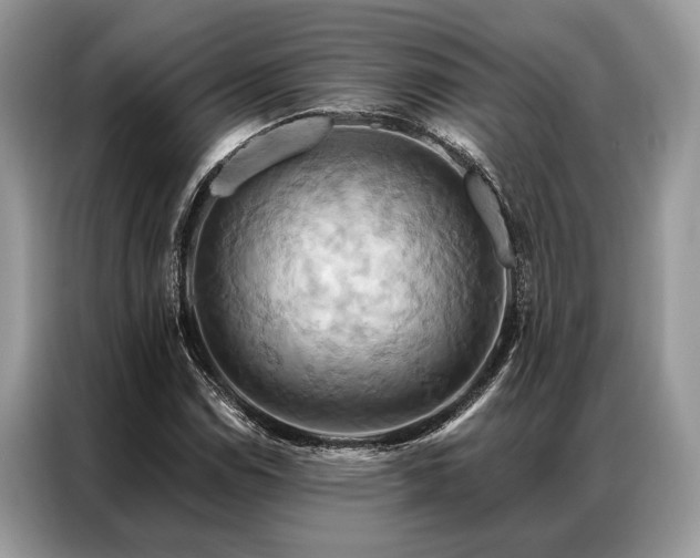 X0000087351114200704271414