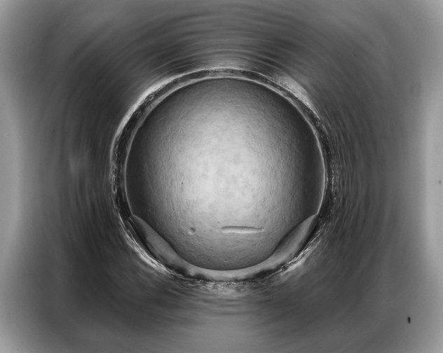X0000087351116200704271414