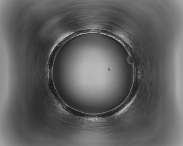 X0000087351117200704271414