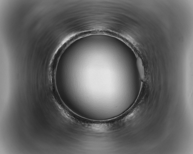 X0000087351118200704271414