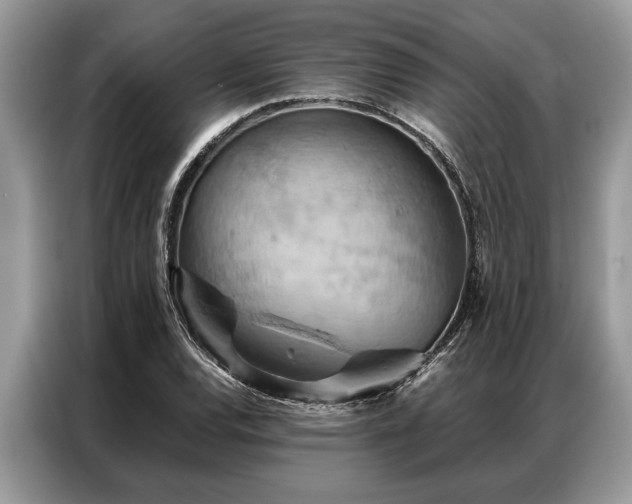 X0000087351120200704271414