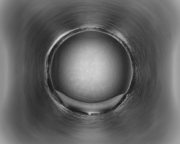 X0000087351124200704271414