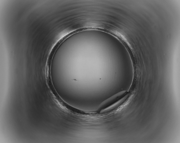 X0000087351125200704271414