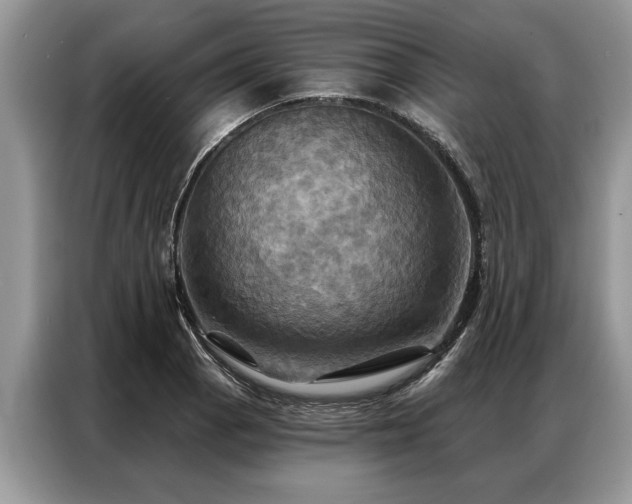 X0000087351129200704271414