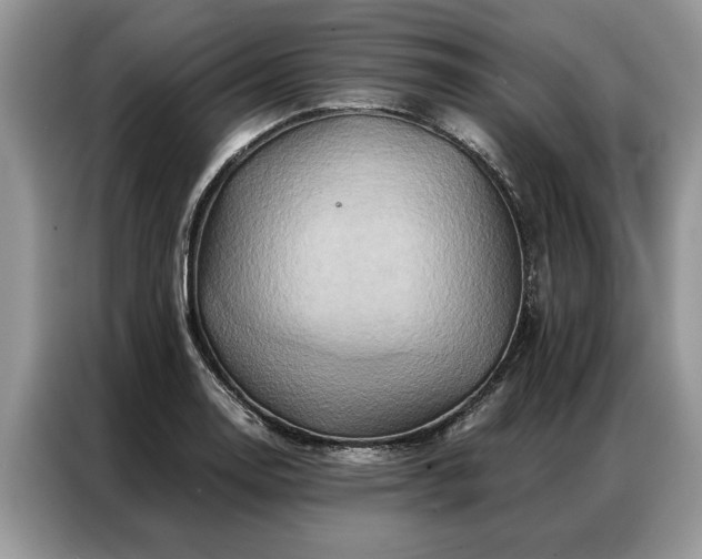 X0000087351130200704271415