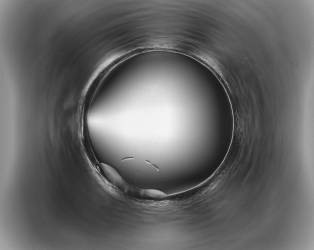 X0000087351131200704271415