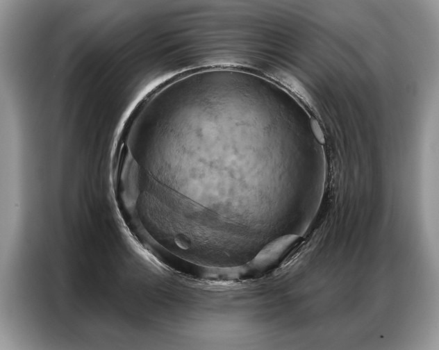 X0000087351132200704271415