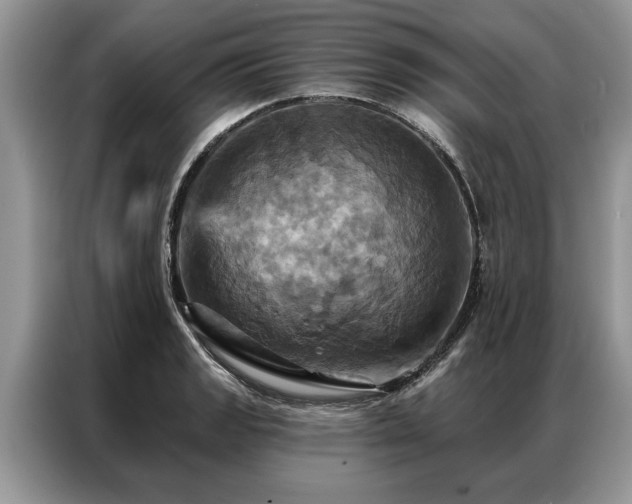 X0000087351133200704271415