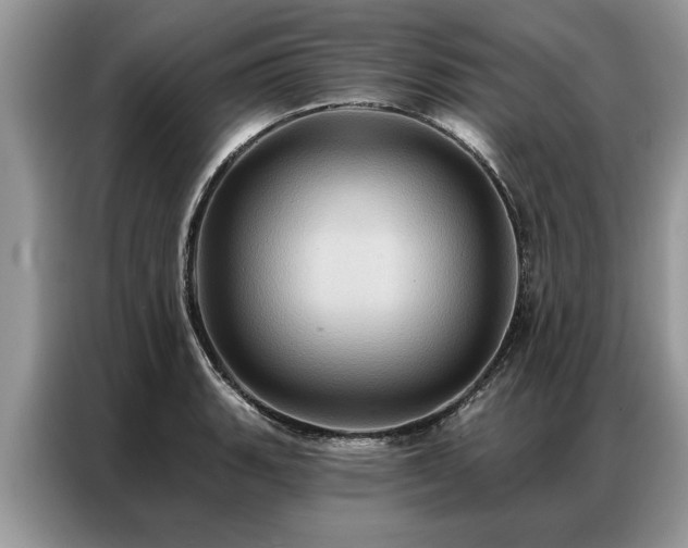 X0000087351135200704271415