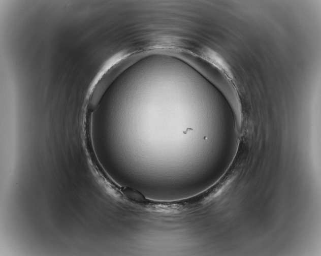 X0000087351138200704271415