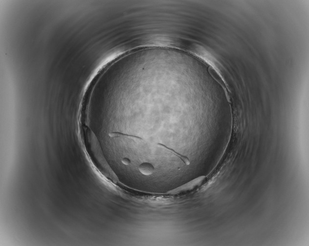X0000087351139200704271415