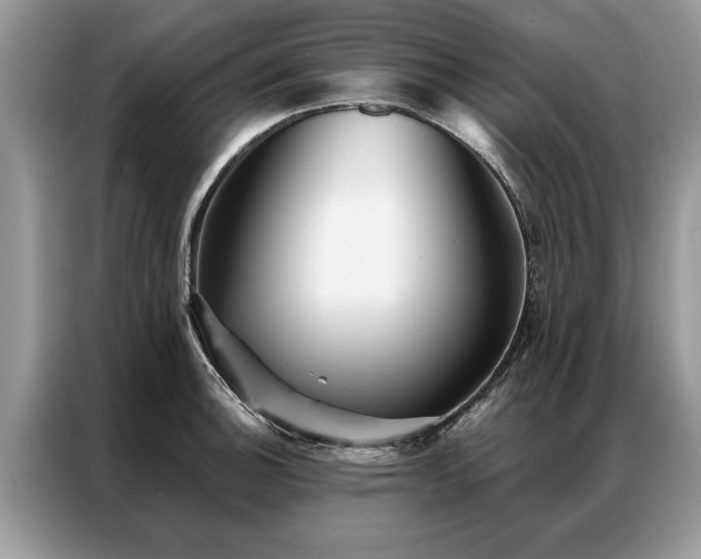X0000087351140200704271415