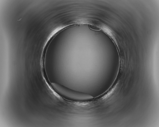 X0000087351141200704271415