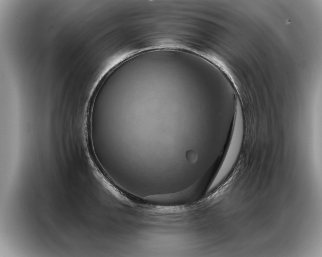 X0000087351142200704271415