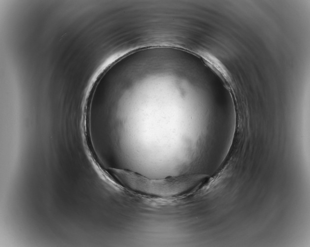 X0000087351144200704271415