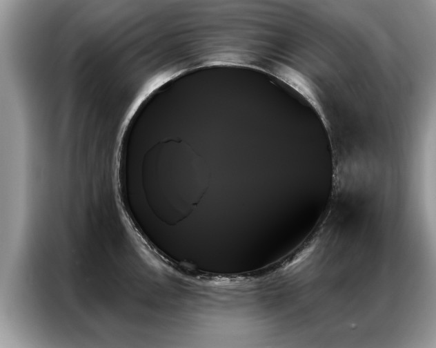 X0000087351146200704271415